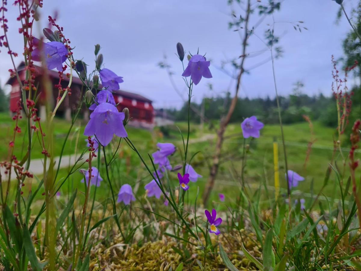 Sjoaasen Hytte Tuddal Eksteriør bilde