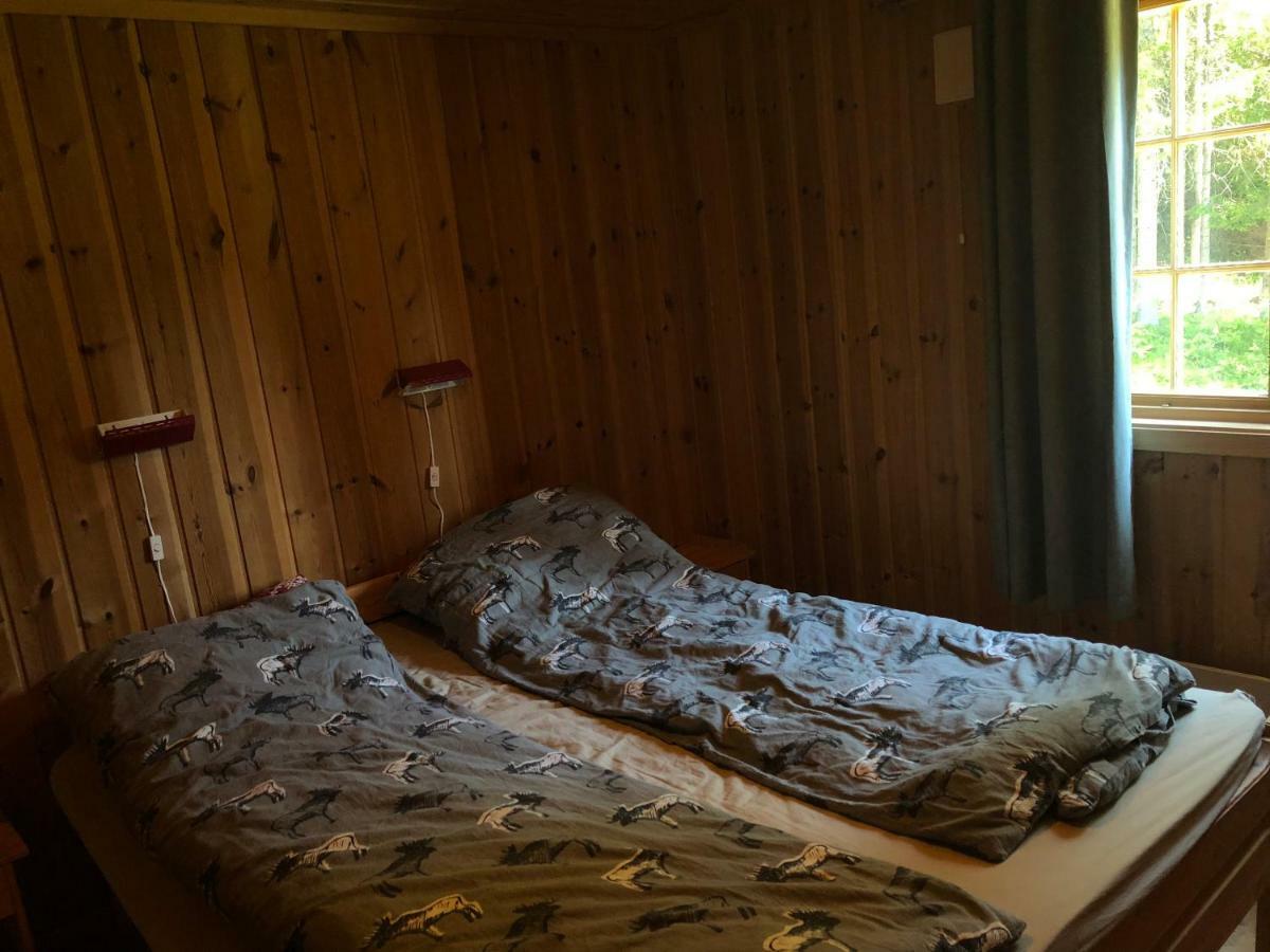 Sjoaasen Hytte Tuddal Eksteriør bilde